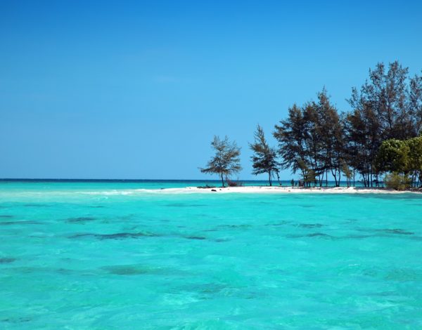 Mau ke Karimunjawa? Ini Pilihan Transportasinya