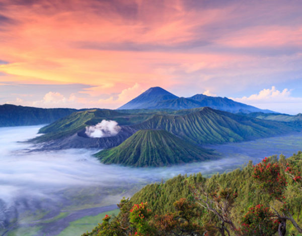 Mengenal Taman Nasional di Jawa Timur
