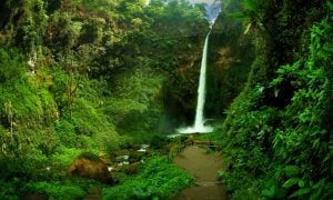 4 Air Terjun di Dekat Cirebon