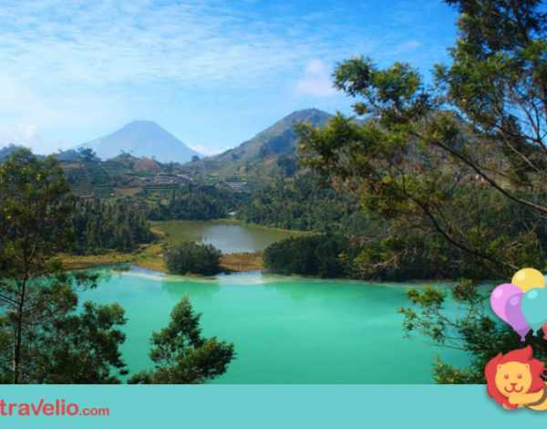 Gratis! Secret Place di Bogor Ini Akan Bikin Kamu Terkagum-kagum!