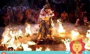 12 Reasons Why You Wouldn’t Survive in Bali