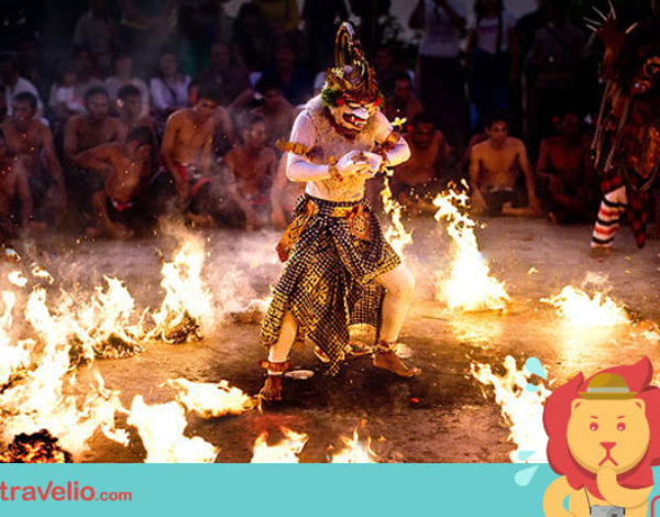 12 Reasons Why You Wouldn’t Survive in Bali