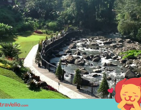 Terungkap! 5 Alasan Inilah Yang Bikin Orang Jakarta Suka Liburan Ke Puncak, Bogor!