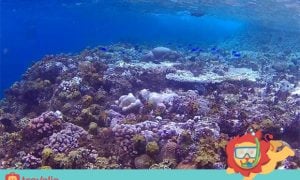 7 Cara Menikmati Liburan di Gorontalo Dengan Maksimal