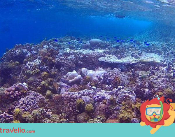 7 Cara Menikmati Liburan di Gorontalo Dengan Maksimal