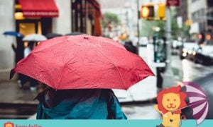 5 “Senjata” Wajib Dibawa Saat Liburan di Musim Hujan