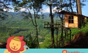 BIKIN TERCENGANG! 7 Secret Place di Malang ini Benar-Benar Mengagumkan