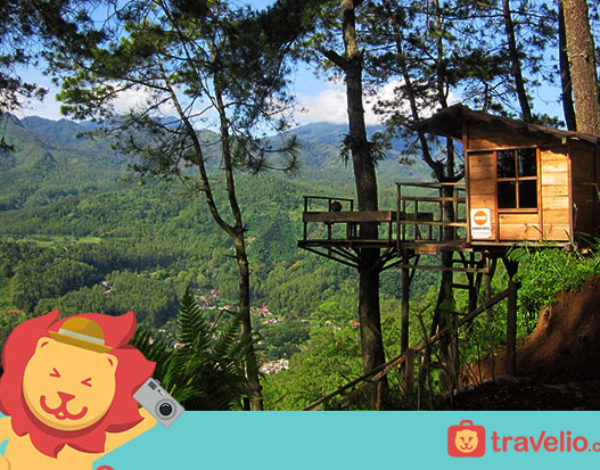 BIKIN TERCENGANG! 7 Secret Place di Malang ini Benar-Benar Mengagumkan