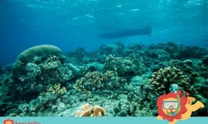 Mau Keliling Kalimantan? 5 Tempat Keren di 5 Provinsinya Ini Harus Kamu Singgahi!