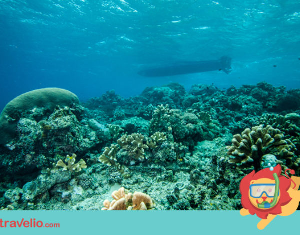 Mau Keliling Kalimantan? 5 Tempat Keren di 5 Provinsinya Ini Harus Kamu Singgahi!