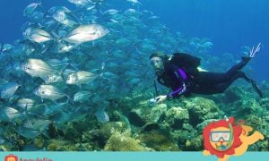 5 of The Best Places to Dive in Bali