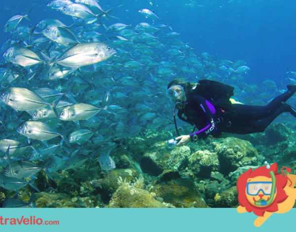 5 of The Best Places to Dive in Bali