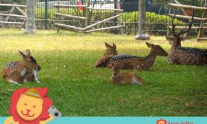 Setelah Lihat 5 Tempat Keren Ini, Kamu Bakal Pengen Liburan Ke Bekasi!