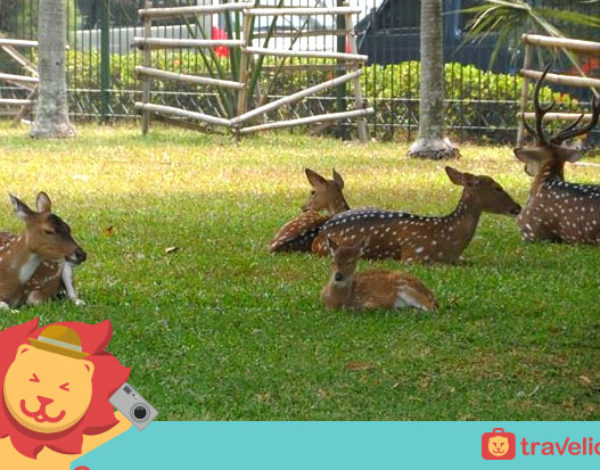 Setelah Lihat 5 Tempat Keren Ini, Kamu Bakal Pengen Liburan Ke Bekasi!