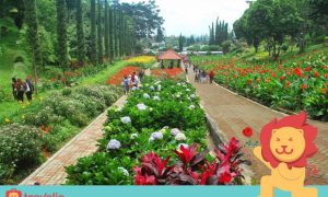 5 Tempat Romantis di Malang Ini Bisa Jadi Kejutan Paling Bahagia Buat Kekasih!