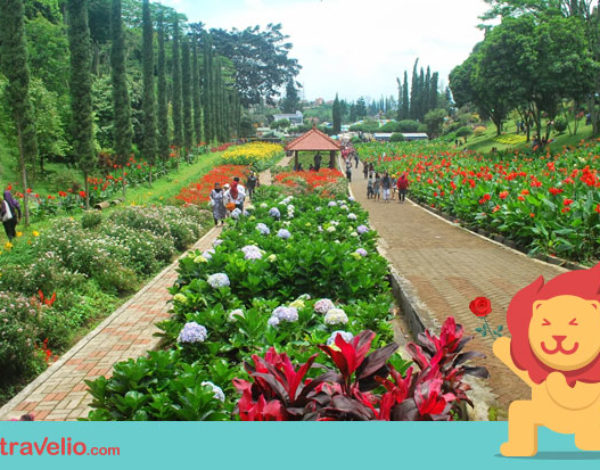 5 Tempat Romantis di Malang Ini Bisa Jadi Kejutan Paling Bahagia Buat Kekasih!