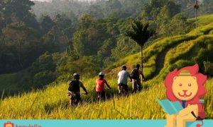 Kamu Bakal Males Pulang Kalau Sudah Melakukan 5 Aktivitas Asyik Ini di Ubud!