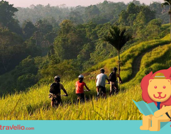 Kamu Bakal Males Pulang Kalau Sudah Melakukan 5 Aktivitas Asyik Ini di Ubud!
