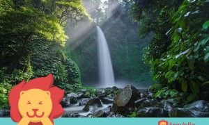 KEREN Nggak Cukup Buat Menggambarkan 5 Air Terjun di Bali ini!