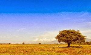 Don’t open if You Are Afraid Of Falling In Love with These 7 Places!