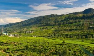 5 Alasan Villa Di Puncak Ini COCOK buat acara reunian