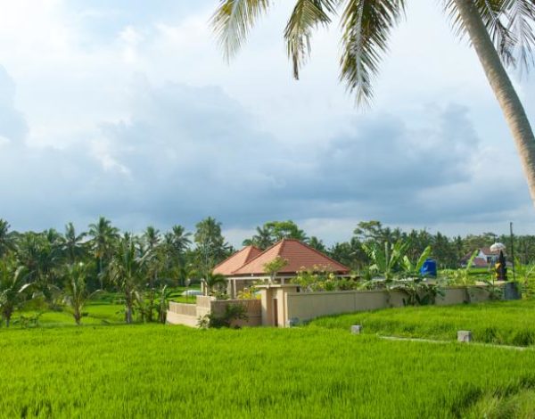 SIX CONSEQUENCES IF YOU SPEND YOUR WEEKEND IN UBUD