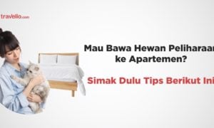 Mau Bawa Hewan Peliharaan ke Apartemen? Simak Dulu Info Berikut Ini