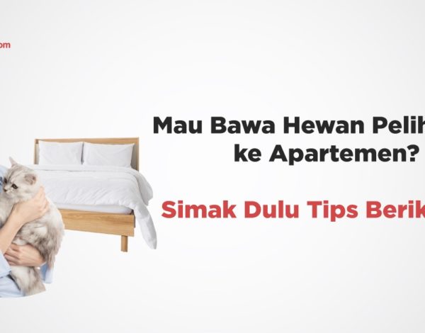 Mau Bawa Hewan Peliharaan ke Apartemen? Simak Dulu Info Berikut Ini