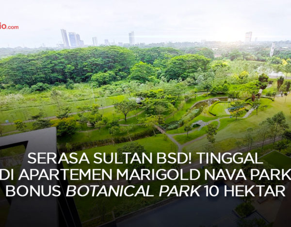 Serasa Sultan BSD! Tinggal di Apartemen Marigold Nava Park Bonus Botanical Park 10 Hektar