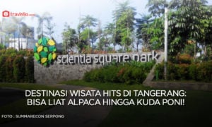 Alpaca di Indonesia Ada di Tempat Wisata Hits Tangerang Ini