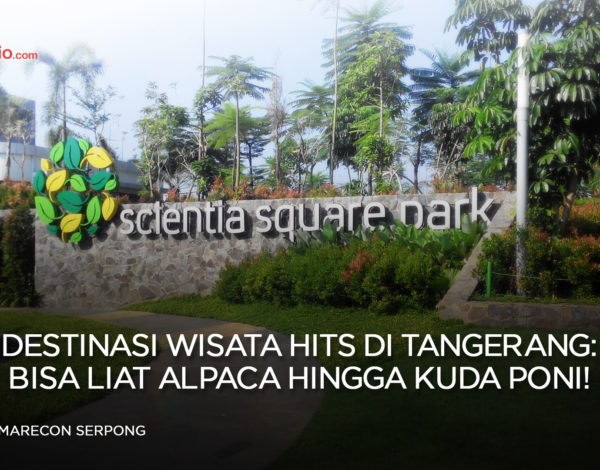Alpaca di Indonesia Ada di Tempat Wisata Hits Tangerang Ini